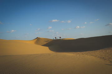 Fototapeta na wymiar deserto del thar