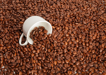 Kaffeebohne