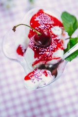 Vanilla ice cream with berry sauce and mint