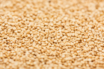 close up view of organic raw white quinoa