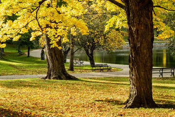 Jogging path around reservoir on sunny autumn new england day