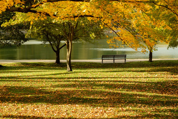 park bench at reservoir on sunny autumn day in new england