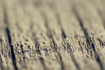 wood close up, small dof