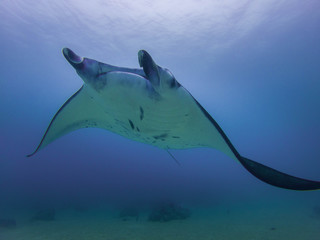 C:\DCIM\100GOPRO\GOPR0729.GPR © Paul