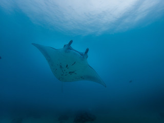 C:\DCIM\100GOPRO\GOPR0748.GPR