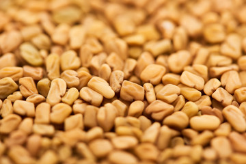 close up view of unprocessed bulgur grains