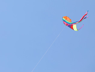 colorful kite flies high in the sky