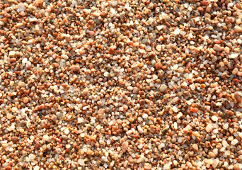 background of many small pebbles in the beach