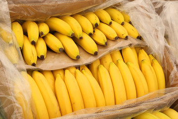 Yellow ripe bananas on the box for sale