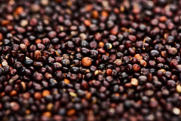 close up view of unprocessed organic black quinoa