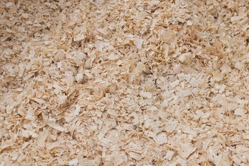 Texture of wood shavings from under a woodworking machine. Natural industrial materials. Recycling...