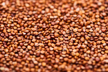 close up view of raw organic red quinoa seeds