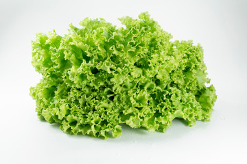Obraz premium Fresh lettuce leaf for cooking food healthy or vegetable salad isolated on white background, it is good source of vitamin edible and delicious.