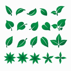 Simple Material Set of Leaf Vector Collection