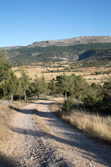 Countryside close to Covarrubias, Burgos