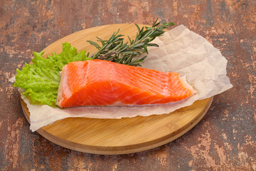 Piece of raw salmon