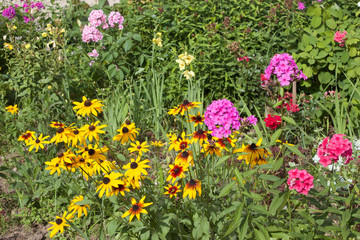 flowers in the garden