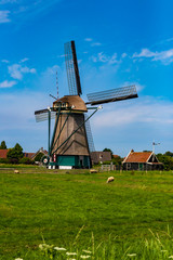 Fototapeta na wymiar dutch windmills