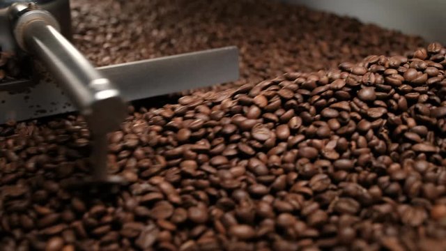 Close-up shot of the process cooling down roasted brown coffee beans