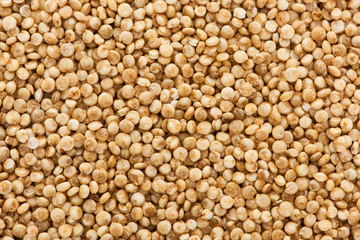 top view of uncooked seeds of organic white quinoa