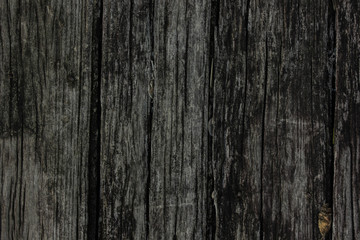  Beautiful berries and wood background images