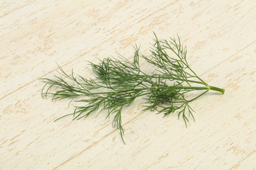 Fresh green dill herb branch