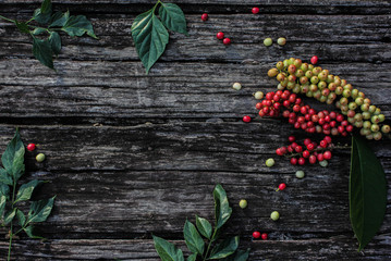 fruit, berry, red, sweet, juicy, food, green, ripe, background, beautiful, fresh, raspberry, nature, healthy, blackberry, dessert, tasty, closeup, white, raw, delicious, organic, color, garden, many, 