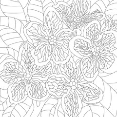 Greeting card template with hand-drawn black flowers on a white background.