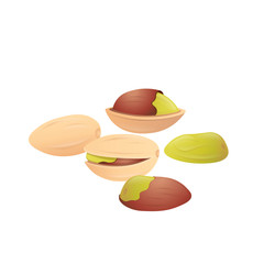 Pistachios on a white background. Vector illustration.