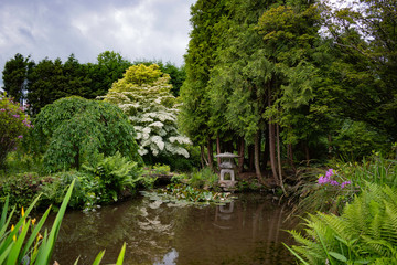 An English Japanese Garden