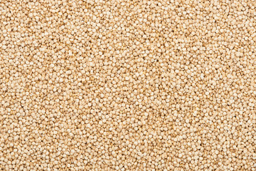 top view of unprocessed white quinoa seeds