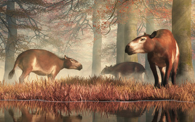These are Eohippus, or "dawn horse", the earliest known ancestor of the modern horse after the extinction event that ended the reign of the dinosaurs. Also known as hyracotherium. 3D Rendering