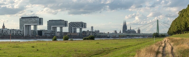 Fototapeta na wymiar high resolution panoramic skyline view of the rhine shore in cologne with meadow and footpath in the foreground and crane houses with cathedral in the back on a sunny day in september