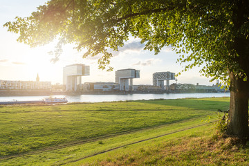 Panoramablick auf die Skyline des Kölner Rheinufers mit Wiese im Vordergrund und Kranhäusern mit Dom im Hintergrund an einem sonnigen Sommertag kurz vor Sonnenuntergang, umrahmt von Blättern eines Baumes © furryfritz