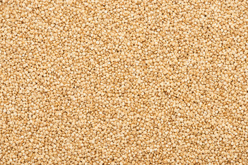 top view of raw seeds of organic white quinoa