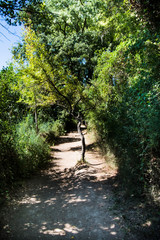 Dirt road in the mountains