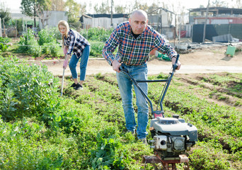 The family works on garden beds. Man using motorized cultivator. Woman cleans weeds with a rake