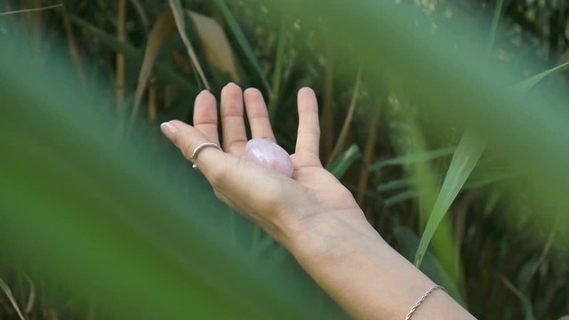 Female hand with french manicure holding pink quartz pink yoni egg for vumfit, imbuilding or meditation. Crystal gem in hands on green stems background outdoors.