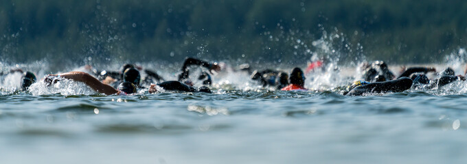 Triathletes swimming in a lake at a triathlon competition - obrazy, fototapety, plakaty
