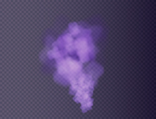 purple fog or smoke isolated, transparent special effect. Colorful steam and cigarette realistic smoke. Bright vector cloudiness, mist or smog background. Vector illustration