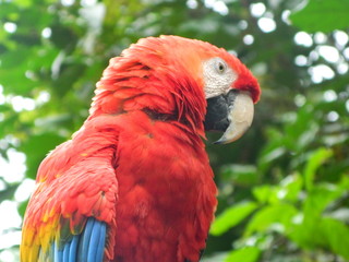 Paisajes, animales y mas