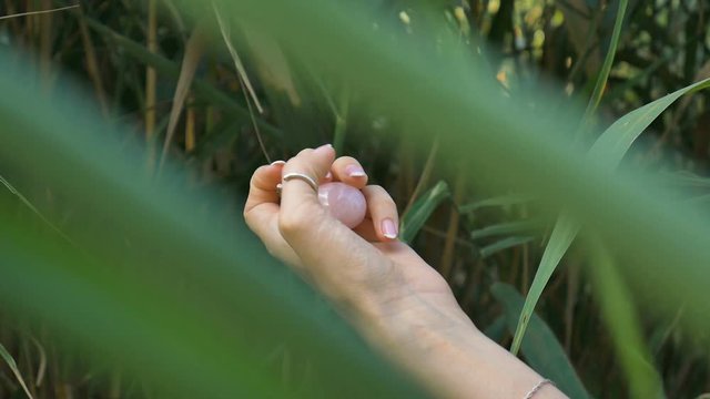 Rose quartz gem in hands on green stems background outdoors. Female hand with french manicure holding pink crystal yoni egg for vumfit, imbuilding or meditation.