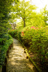 A green path lined with stones in the Wojslawice Arboretum.