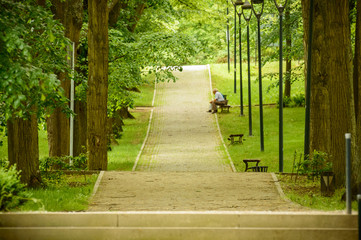 Resting on a bench along an alley in the park.