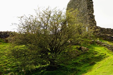 Stone Ruins from a European Castle