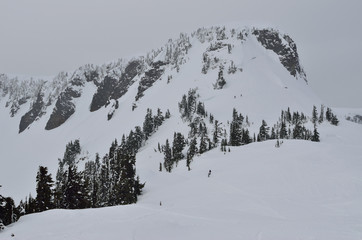 Table mountain in Mount Baker wilderness , WA , USA ,