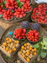 fruits and vegetables at the market