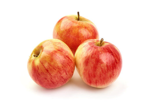 Autumn Glory apples, isolated on white background