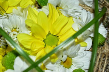 Bouquet of yellow chrysanthemums in a basket.