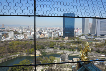 Fototapeta premium The Osaka Castle in japan tokyo